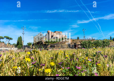 Les anciennes ruines au Forum Romain du Temple de Vénus et Rome à Rome vue du Colisée. Monde célèbre monument Banque D'Images