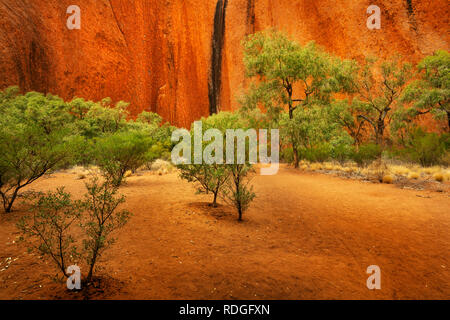 Gorge de Kantju est basé sur le côté ouest de célèbre Uluru. Banque D'Images