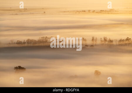 Un matin brumeux dans le Wimmera. Banque D'Images