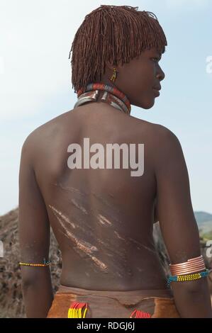 Jeune femme Hamar avec coiffure traditionnelle et d'argile rouge avec des cicatrices et les marques d'être fouetté sur le dos Banque D'Images