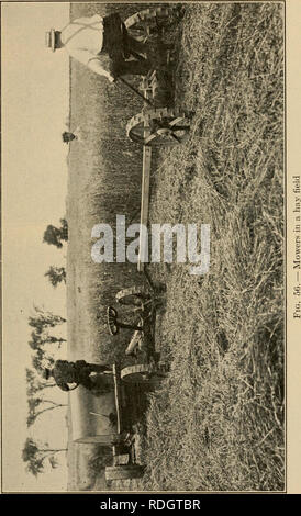 . L'agriculture efficace, un texte-livre pour les écoles américaines. L'agriculture. Les herbes et le sorgho 165. Veuillez noter que ces images sont extraites de la page numérisée des images qui peuvent avoir été retouchées numériquement pour plus de lisibilité - coloration et l'aspect de ces illustrations ne peut pas parfaitement ressembler à l'œuvre originale.. Sampson, Harry Oscar, 1879-. New York, Macmillan Banque D'Images