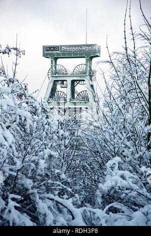 Haniel Prosper couverte de neige Mine de charbon, Bottrop, Rhénanie du Nord-Westphalie Banque D'Images