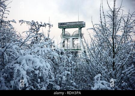 Haniel Prosper couverte de neige Mine de charbon, Bottrop, Rhénanie du Nord-Westphalie Banque D'Images