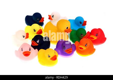 Canards en caoutchouc, une grande et de nombreux petits en différentes couleurs Banque D'Images