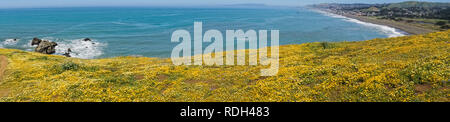 Superbloom Point à Mori, Pacifica, baie de San Francisco, Californie Banque D'Images