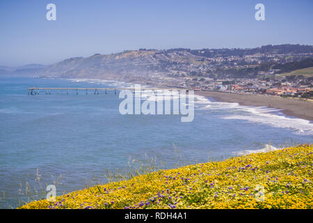 Superbloom Point à Mori, Pacifica, baie de San Francisco, Californie Banque D'Images