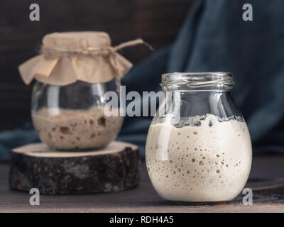 Le blé et le seigle Active levain dans un bocal en verre sur fond de bois brun. Démarreur pour pain au levain. La tonalité de l'image. Copier l'espace. Banque D'Images
