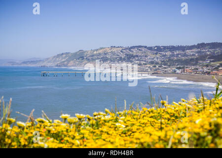 Superbloom Point à Mori, Pacifica, baie de San Francisco, Californie Banque D'Images