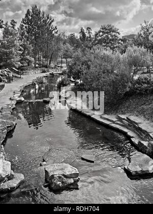 The Woodlands TX USA - 5 juin 2018 - Promenade le long d'un ruisseau dans le Woodlands TX en B&W Banque D'Images