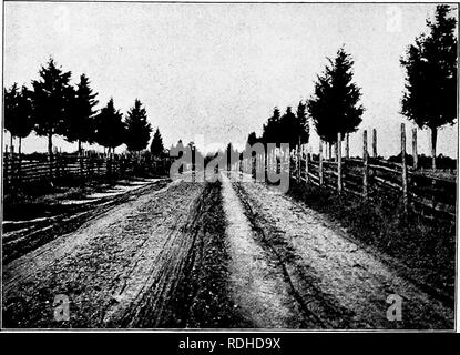 . Menuiserie élémentaire. Le travail du bois ; les arbres. THE EVERGREENS 121 et la facilité avec laquelle il peut être travaillé. C'est l'arborescence de nos routes, là où les oiseaux qui se régalent de la Cedar baies ont se tenait sur la clôture de rails et planté de cèdres inconsciemment les rangées pour les genres- tions en laissant tomber les graines sur le sol.. Fig. 1.30. Cèdre rouge croissant le long de la route à partir de semences a chuté par des oiseaux Le cèdre rouge semble croître là où d'autres arbres ne peut pas exister, mais comme d'autres arbres répond à une bonne traite- ment et atteint son meilleur développement dans la douceur et luxuriante du Sud. Il est constaté, du Maine Banque D'Images