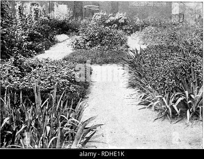 . Comment faire de jardins scolaires ; un manuel pour les enseignants et les élèves. Jardins de l'école. Un jardin de l'école dans l'entreprise- centrL j .f Cleveland-Ruckwell^n, f l'école. Veuillez noter que ces images sont extraites de la page numérisée des images qui peuvent avoir été retouchées numériquement pour plus de lisibilité - coloration et l'aspect de ces illustrations ne peut pas parfaitement ressembler à l'œuvre originale.. Hemenway, Herbert Daniel, 1873-. New York, Doubleday, Page &AMP, le nom de l'entreprise Banque D'Images