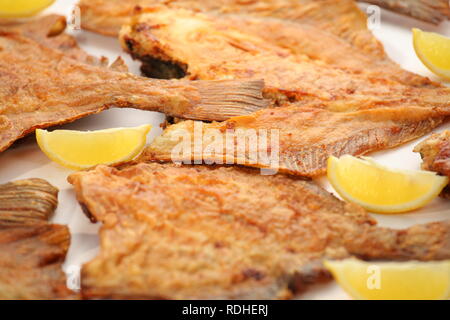 Flet poisson plat close-up Banque D'Images