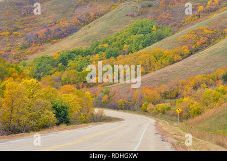 Feuillage de l'automne sur les pentes de la vallée de la rivière Qu'Appelle, Qu'Appelle, Saskatchewan, Canada Banque D'Images