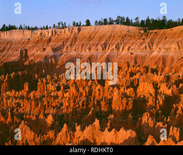 USA, Utah, Bryce Canyon National Park, le lever du soleil illumine ses flèches appelées hoodoos dans 'La Ville' silencieux ; formation de Sunset Point. Banque D'Images