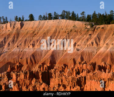 USA, Utah, Bryce Canyon National Park, tôt le matin, la lumière éclaire ses flèches appelées hoodoos dans 'La Ville' silencieux ; formation de Sunset Point. Banque D'Images