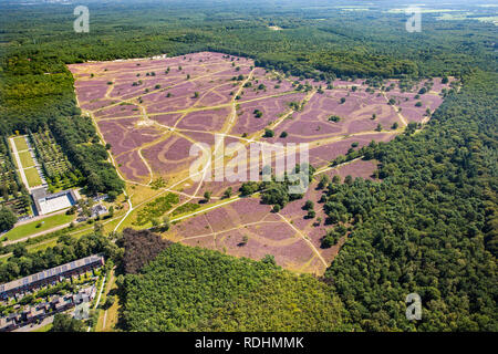 Les Pays-Bas, Hilversum, la floraison de la bruyère. Vue aérienne. Banque D'Images