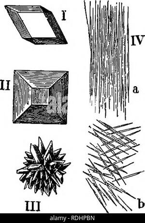 . Lignes de vie végétale : avec référence particulière à la forme et la fonction . La botanique. La nutrition. 151 matériaux inutiles sont débarrassés de ; ou ils peuvent être excrétés directement. Ils peuvent être appelés des déchets. 211. Les déchets.-parmi les plus importants sont les émissions acides, tels que acide oxalique, malique, etc., les tanins, les résines, les gommes, les huiles volatiles, et les alcaloïdes. Ces substances sont soit des sous-produits de la photosynthèse, ou qu'ils se posent dans le cadre de l'assimilation des aliments. L'acide oxalique est généralement débarrassés de par d'être combinés avec le calcium pour former de l'oxalate de calcium, qui crystalliz Banque D'Images