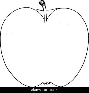 . Les fruits et les arbres fruitiers d'Amérique : ou, la culture, la propagation et la gestion, dans le jardin et verger, d'arbres fruitiers en général, avec des descriptions de toutes les meilleures variétés de fruits, des autochtones et étrangers, cultivée dans ce pays . La culture des fruits, des fruits. Les pommes, 105 d'un wealtliy Quaker nommé Gibbons, près de son fumoir, d'où son nom. Une variété ancienne et populaire en Pennsylvanie. Il ressemble quelque peu les vieux Indiana Vandevere, et est . censés bfe un semis d'elle. Arbre moyennement vigoureux, avec une tête, un bon au porteur. Fruits plutôt moyen ci-dessus, la peau oblatBj Banque D'Images