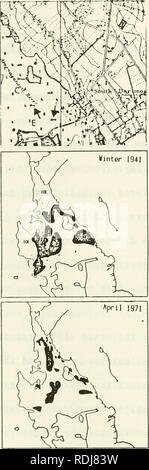 . Dans la zostère Buzzards Bay : distributation, la production, et les changements historiques dans l'abondance. Zostera marina ; herbiers -- Massachusetts Buzzards Bay (Baie). 78. Veuillez noter que ces images sont extraites de la page numérisée des images qui peuvent avoir été retouchées numériquement pour plus de lisibilité - coloration et l'aspect de ces illustrations ne peut pas parfaitement ressembler à l'œuvre originale.. Costa, Joseph Edward, 1958- ; United States. Environmental Protection Agency ; Buzzards Bay Project (Massachusetts). ). Washington, D. C. : United States Environmental Protection Agency Banque D'Images