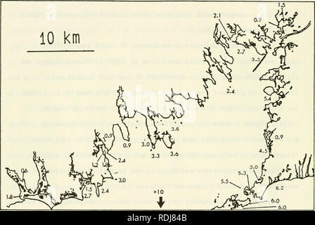 . Dans la zostère Buzzards Bay : distributation, la production, et les changements historiques dans l'abondance. Zostera marina ; herbiers -- Massachusetts Buzzards Bay (Baie). 24. La figure 3. La profondeur maximale (m MLW) des zostères dans différentes parties de Buzzards Bay. En général, la transparence de l'eau est supérieure dans la région sud de la baie de nord, et mieux à l'extérieur de petites anses, de l'intérieur.. Veuillez noter que ces images sont extraites de la page numérisée des images qui peuvent avoir été retouchées numériquement pour plus de lisibilité - coloration et l'aspect de ces illustrations ne peut pas parfaitement ressembler à l'ori Banque D'Images