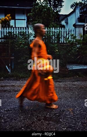 Luang Prabang / Laos - 06 juil 2011 : moine lors de leur ronde tôt le matin autour de la ville de recueillir leurs aumônes Banque D'Images