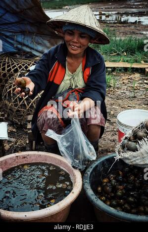 Paksong / Laos - 06 juil 2011 : Femme au chapeau conique escargots à la vente du marché de village Banque D'Images