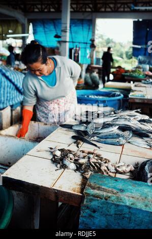 Paksong / Laos - 06 juil 2011 : les poissons et les grenouilles au marché du village local Banque D'Images