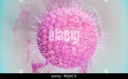 Varicelle - Zona - herpès virus - 3D Rendering Banque D'Images