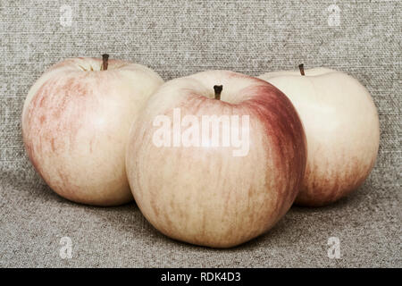 Trois pommes rouges-jaunes se trouvent sur toile - still life in style rustique Banque D'Images