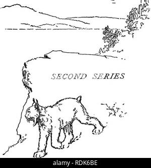 . Des moyens de nature sauvage ;. Le comportement animal. WILLIAM J. LONG jf' &gt ;. GINN &AMP ; COMPANY Â ¢ BOSTON NEW YORK â¢ CHICAGO â Londres. Veuillez noter que ces images sont extraites de la page numérisée des images qui peuvent avoir été retouchées numériquement pour plus de lisibilité - coloration et l'aspect de ces illustrations ne peut pas parfaitement ressembler à l'œuvre originale.. Longtemps, William J. (William Joseph), 1867-1952. Boston, U.S.A. , Ginn &AMP, le nom de l'entreprise Banque D'Images