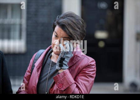 Arlene Foster, homme politique de l'Irlande du Nord et chef du Parti unioniste démocratique à l'extérieur no 10 Downing Street, Whitehall, Londres, Angleterre, RU Banque D'Images