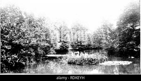 . En Dieu est à l'extérieur. L'histoire naturelle. En voyant. Veuillez noter que ces images sont extraites de la page numérisée des images qui peuvent avoir été retouchées numériquement pour plus de lisibilité - coloration et l'aspect de ces illustrations ne peut pas parfaitement ressembler à l'œuvre originale.. Quayle, William A. (William Alfred), 1860-1925. Cincinnati, Jennings &AMP ; Pye, New York, Parade &AMP ; alimentation secteur Banque D'Images