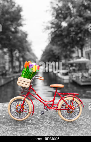 Dutch rouge location miniature avec mignon détails à Amsterdam, l'arrière-plan paysage fleurs tulipes dans des caisses en bois, cuir, selle pneus lumineux (couleur, clé Banque D'Images