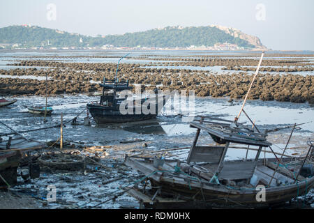 Les huîtres à la côte de la ville d'Ang Sila près de Beangsaen dans la Provinz Chonburi en Thaïlande. La Thaïlande, Bangsaen, Novembre, 2018 Banque D'Images