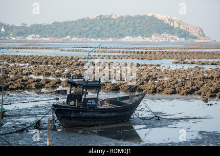 Les huîtres à la côte de la ville d'Ang Sila près de Beangsaen dans la Provinz Chonburi en Thaïlande. La Thaïlande, Bangsaen, Novembre, 2018 Banque D'Images