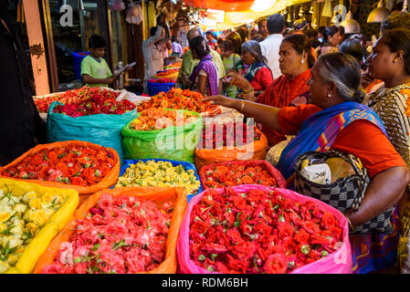 Marché aux fleurs, marché Devaraja, Mysore. Mysuru, Karnataka, Inde Banque D'Images