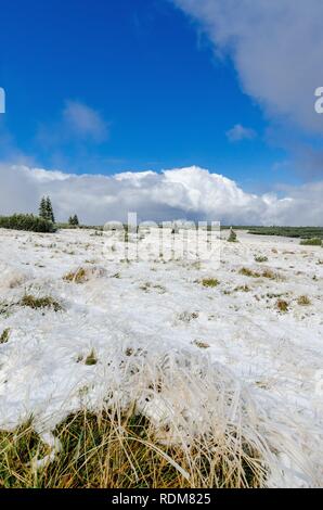 Première neige sur les montagnes des Géants (Karkonosze). La Pologne, Dolnoslaskie province. Banque D'Images