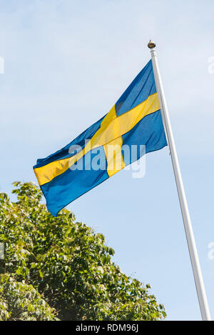 Drapeau suédois sur le vent Banque D'Images