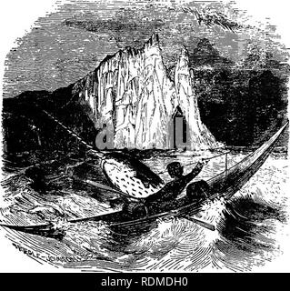 . Les merveilles de la grande profondeur, ou, l'animal, physique, géologique, et des curiosités de l'océan . L'océan ; animaux marins ; les plantes marines. Les mers de l'Arctique. 163. Parlant du narval. noyau d'un écrou. C'est habituellement la dent gauche que les projets. Il existe une incertitude considérable quant à l'utilisation de cette longue et spirale tusk. Certains ont sup- pose qu'il est utilisé à la recherche de nourriture, par ratissage dans la boue au fond, ou de percer une fine couche de glace en surface, à obtenir l'accès à l'air ; mais M. Scoresby semble avoir jeté beaucoup de lumière sur elle, en ayant rencontré une personne sur le Banque D'Images