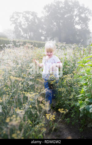 Cute little girl running in field Banque D'Images