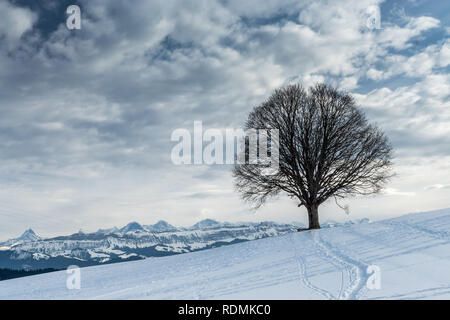 Aussicht auf die Berner Alpen vom Aebersold, Linden, Schweiz Banque D'Images