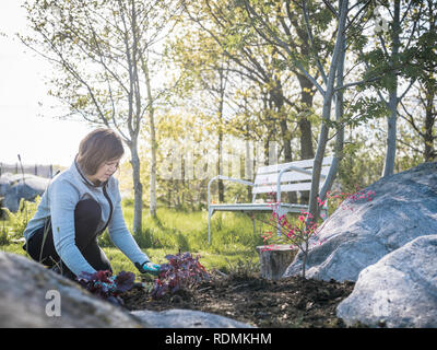 Mid adult woman gardening Banque D'Images