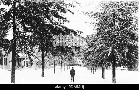 . Manuel de jardinage paysage, conçu spécialement pour l'utilisation de non-professionnels et étudiants. Paysagiste. Fig. 35. Borne Oaks en hiver. Veuillez noter que ces images sont extraites de la page numérisée des images qui peuvent avoir été retouchées numériquement pour plus de lisibilité - coloration et l'aspect de ces illustrations ne peut pas parfaitement ressembler à l'œuvre originale.. Waugh, Frank A. Frank (Albert), 1869-1943. New York, John Wiley & Sons, Inc. ; ; [etc. , Etc. ] Banque D'Images