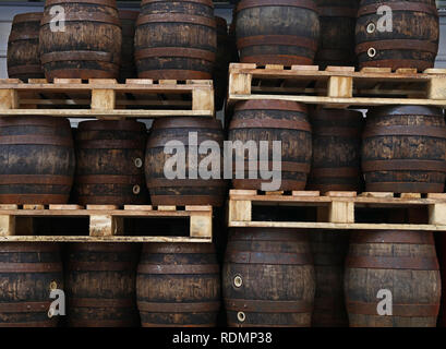 Rangées de palettes avec jalonnés old grunge vintage en chêne de barils de bière artisanale à la brasserie de l'entrepôt Banque D'Images