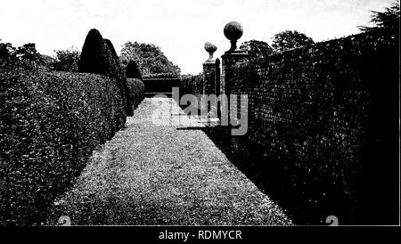 . Jardins pour les petites maisons de campagne. Les jardins. 132 jardins pour les petites maisons de campagne. à pied, à la fleur-frontières soutenue par haies d'ifs, menant à une cour pavée et une fontaine circulaire aux murs de brique. La perspective et le plan d'un jardin par M. Inigo Triggs (Figs. 174 et 175) montrent le même besoin et la bonne utilisation des haies d'ifs pour enveloppant et protégeant les jardins rectangulaires. À Bulwick (Fig. 176) quelques vieux hêtres sont clippés seulement où leur avance latérale menace la fermeture d'une voie verte. Haies d'ifs ont beaucoup d'utilisation en plus d'assurer la protection de la vie privée. Fig. 177 montre une jeune haie qui seront autorisés à se développer de façon Banque D'Images