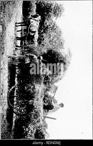 . Autour d'un ancien homestead ; un livre de souvenirs. Huston, Paul Griswold ; la vie à la ferme ; l'histoire naturelle. . Veuillez noter que ces images sont extraites de la page numérisée des images qui peuvent avoir été retouchées numériquement pour plus de lisibilité - coloration et l'aspect de ces illustrations ne peut pas parfaitement ressembler à l'œuvre originale.. Huston, Paul Griswold. Cincinnati, Jennings et Graham ; New York, Eaton et d'alimentation secteur Banque D'Images