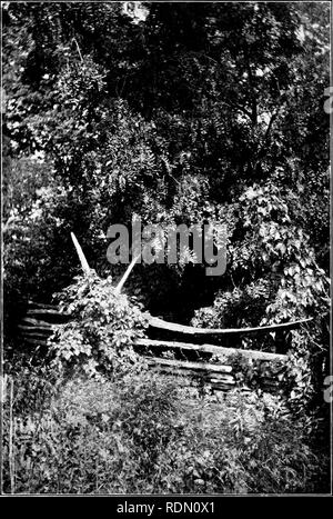 . Autour d'un ancien homestead ; un livre de souvenirs. Huston, Paul Griswold ; la vie à la ferme ; l'histoire naturelle. L'ANCIENNE CLÔTURE.. Veuillez noter que ces images sont extraites de la page numérisée des images qui peuvent avoir été retouchées numériquement pour plus de lisibilité - coloration et l'aspect de ces illustrations ne peut pas parfaitement ressembler à l'œuvre originale.. Huston, Paul Griswold. Cincinnati, Jennings et Graham ; New York, Eaton et d'alimentation secteur Banque D'Images