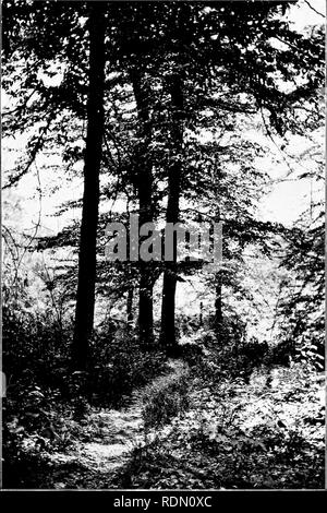 . Autour d'un ancien homestead ; un livre de souvenirs. Huston, Paul Griswold ; la vie à la ferme ; l'histoire naturelle. 'Un chemin abandonné.. Veuillez noter que ces images sont extraites de la page numérisée des images qui peuvent avoir été retouchées numériquement pour plus de lisibilité - coloration et l'aspect de ces illustrations ne peut pas parfaitement ressembler à l'œuvre originale.. Huston, Paul Griswold. Cincinnati, Jennings et Graham ; New York, Eaton et d'alimentation secteur Banque D'Images