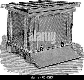 . Quinby de neuf l'apiculture. Les mystères de l'apiculture a expliqué. En combinant les résultats de cinquante ans d'expérience, avec les dernières découvertes et inventions, et présentant le plus de méthodes approuvées, formant un guide complet à la réussite de la culture de l'apiculture. Les abeilles. 113 HIYES ET BOÎTES. de la ruche. La préférence de la plupart de nos soldats de bee- semble être de les faire fonctionner à partir de l'avant vers l'arrière, mais il y a de bons arguments en faveur de l'autre directeur. Les abeilles doivent nécessairement passer plus facilement dans les boîtes latérales avec des cadres d'un côté à l'autre, et les cases plus uniforme recevra aussi w Banque D'Images