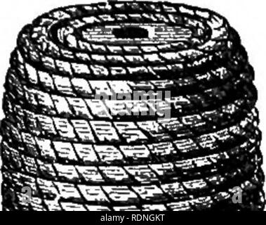 . L'abeille et de fourmis blanches, leurs manières et habitudes ; avec des illustrations de l'instinct animal et l'intelligence. Les abeilles ; Instinct ; les termites. Fig. 63.-Scotch ruche.. Veuillez noter que ces images sont extraites de la page numérisée des images qui peuvent avoir été retouchées numériquement pour plus de lisibilité - coloration et l'aspect de ces illustrations ne peut pas parfaitement ressembler à l'œuvre originale.. Dionysius Lardner,, à 1859. Londres, Lockwood &AMP ; co Banque D'Images